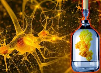 Diluting the blood plasma rejuvenates tissue and reverses aging