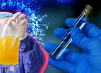 COVID-19 : Scientists are testing if convalescent plasma might also prevent infection