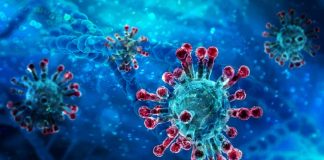 Full understanding of COVID-19 genetics is the key to solving the problem