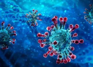 Full understanding of COVID-19 genetics is the key to solving the problem