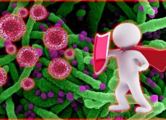 Existing kinase drugs can prevent SARS-CoV-2 from hijacking cells