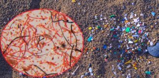 Thousands of tons of microfibres are being released into European marine environments every year