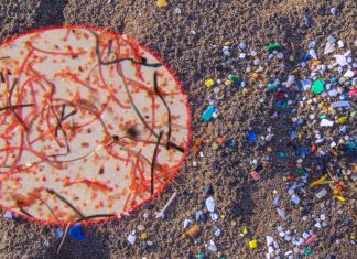 Thousands of tons of microfibres are being released into European marine environments every year