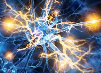 Scientists have identified a pattern within blood which signals the presence of motor neuron disease