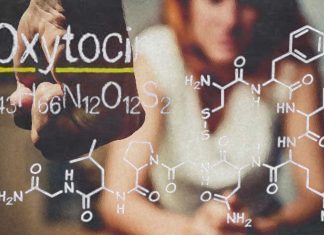 Researchers discovered oxytocin can amplify aggression as well as social friendliness
