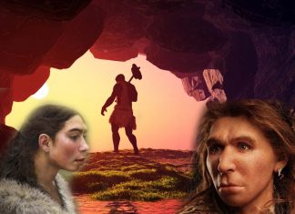 One in three women in Europe inherited the receptor for progesterone from Neanderthals associated with increased fertility