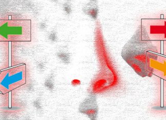 Humans have a stereo sense of smell that subconsciously guides navigation