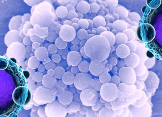 Researchers developed a noninvasive technology that combines ultrasound and microbubbles to destroy cancer cells