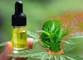 CBD could help people kick the cannabis habit