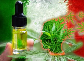Il CBD potrebbe aiutare le persone a liberarsi dall’abitudine alla cannabis