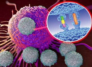 Cancer : CAR T cells could act as vaccines