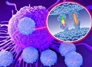 Cancro: le cellule T CAR potrebbero fungere da vaccino