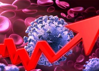 COVID-19 : The D614G mutation enhances viral infectivity and decreases neutralization sensitivity