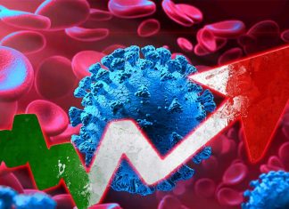 COVID-19: La mutazione D614G aumenta l’infettività virale e diminuisce la sensibilità di neutralizzazione