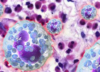 Eosinophil cell therapy promotes rejuvenation