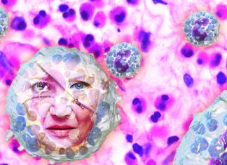 La terapia cellulare con eosinofili promuove il ringiovanimento