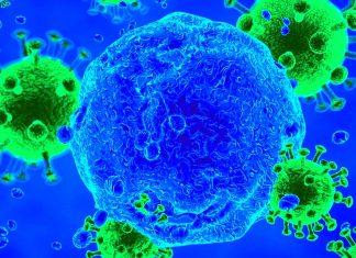 HIV may not be associated with more severe COVID-19 symptoms