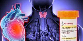 Attacco cardiaco: la levotiroxina non migliora la funzione muscolare del cuore