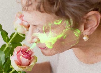 Older adults: higher ability to process sensations may face lower likelihood of dementia