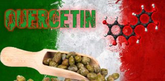 Quercetina: un composto comunemente presente nei capperi sott’aceto può regolare direttamente le proteine necessarie per il battito cardiaco, il pensiero, la contrazione muscolare e il normale funzionamento della tiroide, del pancreas e del tratto gastrointestinale
