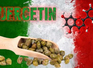 Quercetina: un composto comunemente presente nei capperi sott’aceto può regolare direttamente le proteine necessarie per il battito cardiaco, il pensiero, la contrazione muscolare e il normale funzionamento della tiroide, del pancreas e del tratto gastrointestinale