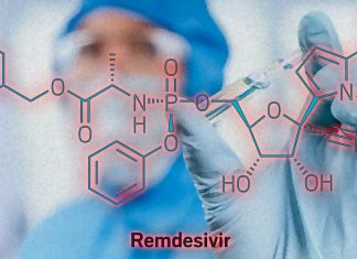 Researchers reported that remdesivir potently inhibited SARS-CoV-2