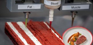 Israeli startup unveiled the world’s first plant-based steak created using 3D printing technology
