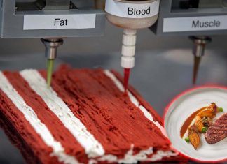 Israeli startup unveiled the world’s first plant-based steak created using 3D printing technology