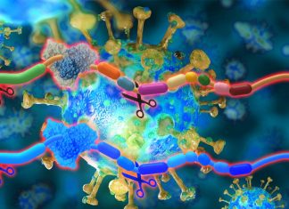 There are 4 effective drug to target the SARS-CoV-2 main protease (Mpro)
