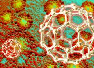 Triple negative breast cancer: new therapy with metal-organic frameworks