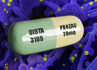 The antidepressant fluoxetine has no effect on brain recovery after acute stroke