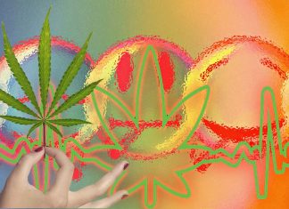 Regular exposure to cannabis may have a harmful impact on sociability