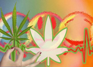 L’esposizione regolare alla cannabis può avere un impatto dannoso sulla socialità