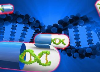 The experimental drug Tofersen slow clinical progression of ALS