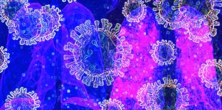 La clorochina non inibisce l’infezione delle cellule polmonari umane con COVID-19