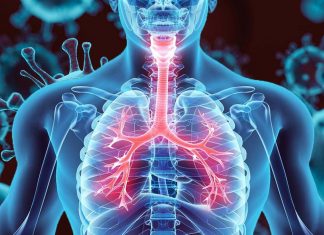 A research team has revealed why lopinavir and hydroxychloroquine do not work on COVID-19