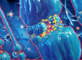 Tiny lipid-based nanoparticles that incorporated neurotransmitters can carry drugs into the brain
