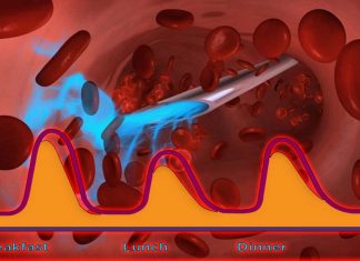 The new insulin formulation begins to take effect almost immediately after the injection