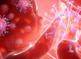 Francia: primo caso confermato di un neonato infettato nell’utero dalla madre con COVID-19