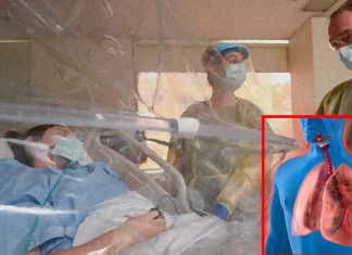 COVID-19: Oxygen therapy harms lung microbiome contributing to lung injury