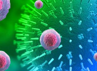 COVID-19: Una nuova tripla strategia potrebbe essere efficace per il trattamento di gravi complicanze della polmonite