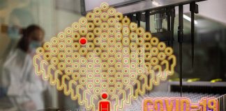 New COVID-19 pooling test identifies all positive subjects