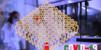 COVID-19 – Il nuovo test di raggruppamento identifica tutti i soggetti positivi
