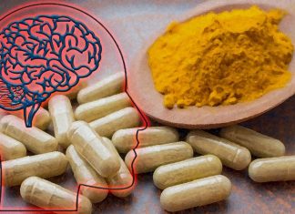 Fisetin CMS121 slows down the aging of brain cells and reverses Alzheimer’s disease