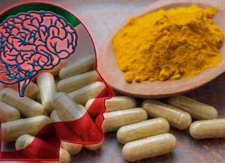 La fisetina CMS121 rallenta l’invecchiamento delle cellule cerebrali e inverte la malattia di Alzheimer