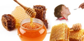 Honey is a better treatment for upper respiratory tract infections (URTIs) than traditional remedies