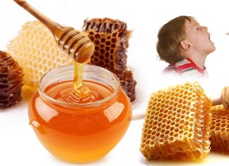 Honey is a better treatment for upper respiratory tract infections (URTIs) than traditional remedies