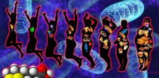 Lipoic acid supplements help healthy people lose weight