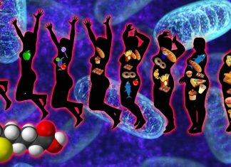 Lipoic acid supplements help healthy people lose weight