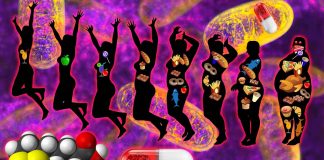 Gli integratori di acido lipoico aiutano le persone sane a perdere peso
